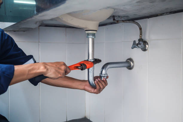 Best Residential Plumbing Services  in Olathe, CO